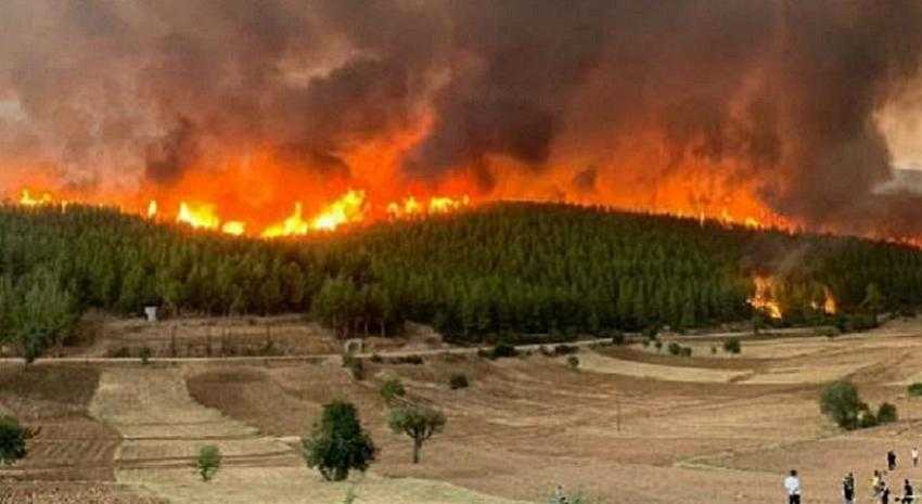 AYDIN'DA ÇIKAN YANGIN MUĞLA'YA SIÇRADI