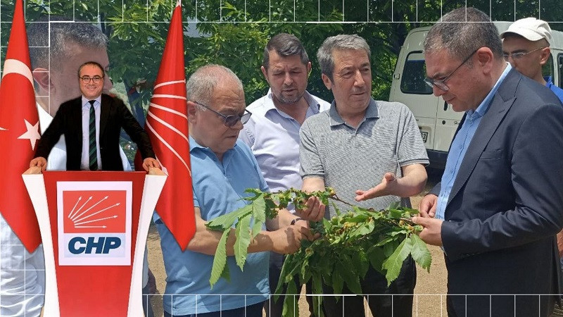 CHP Aydın Milletvekili Evrim Karakoz, kestane üreticilerin sorunlarını meclise taşıdı