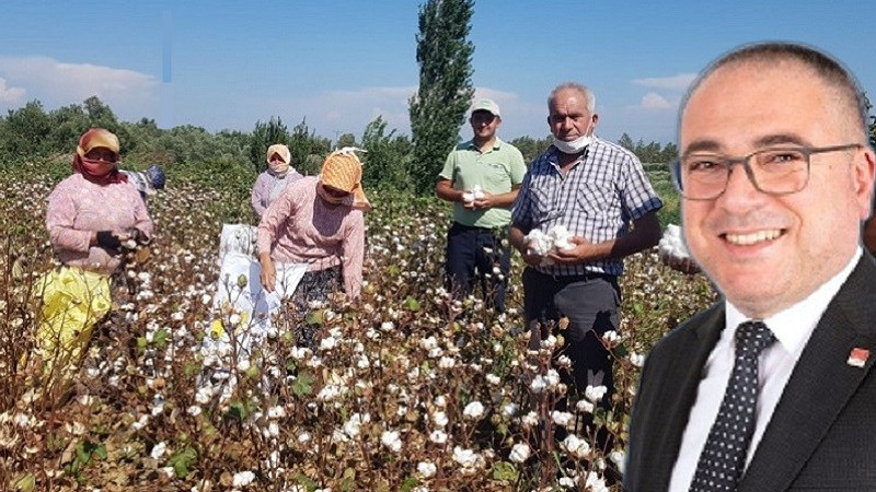 Karakoz: Pamuk üreticisinin destekleme primleri yükseltilsin