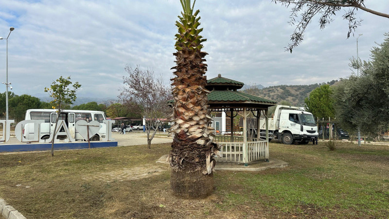 Nazilli Belediyesi’nden ADÜ İsabeyli Kampüsü’nde çalışma